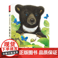 小熊波比 未来出版社 (英)莫里斯·普莱格尔(Maurice Pledger) 著 荣信文化 译