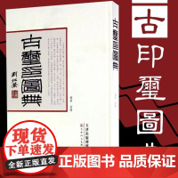 [16开精装正版]古玺印图典 玺印篆刻收藏图鉴大全红色玺印印章玺印文字中国玺印类编玺印大典书法篆刻书籍双色印刷 天津人民
