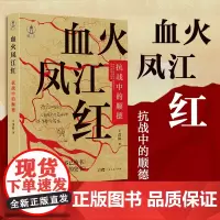 血火凤江红 抗战中的顺德 佛山抗日战争王茂浪抗战时期长篇报告文学岭南文化纪实性文学书籍图书广东人民出版社