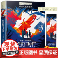 正版 荒野飞行 长青藤国际大奖小说书系 第十一辑 凯瑟琳朗德尔著 英国儿童奖 6-12岁儿童文学书籍三四五六年级小学生课