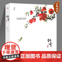 [正版]秋实 神秘岛系列 7-14岁精装 蕴哲理讲述自然故事 用笔墨构筑灵气神韵,球首部8K水墨动画短片改编作品 广