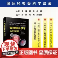 骨肿瘤手术学:病例图解哈泽姆·奥兹格著中国科学技术出版社店