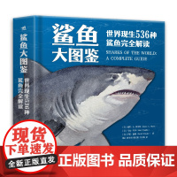 鲨鱼大图鉴 世界现生536种鲨鱼完全解读海洋动物科普百科物种进化史的多样性生物学了解不一样的鲨鱼青少年科普图鉴