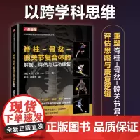 运动康复书籍 脊柱-骨盆-髋关节复合体的解剖评估与运动康复 运动损伤解剖学 腰部康复训练