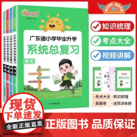 [广东专版]阳光同学2025春小学毕业升学系统总复习语文数学英语科学系统总复习小升初劝解模拟训练小考资料专题真题卷