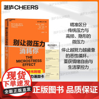 [湛庐店]赠微压力追踪卡 别让微压力消耗你 年度10大管理类新书 微压力比强压力更可怕 应对14种隐形微压力的3种解