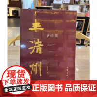 正版图书 王清州书法集 王清州 著GK 文物出版社