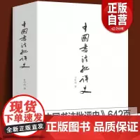 正版 中国书法批评史 甘中流 书法历史大全汉唐宋元明清朝文化艺术 追寻书法意义的历史解析书法书法技法篆楷行草碑帖研究理论