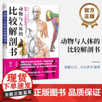[正版]动物与人体的比较解剖书 动物骨骼肌肉结构详细剖析 艺术绘画入门解剖学绘画技巧艺用解剖学教程书籍 电子工业出版社