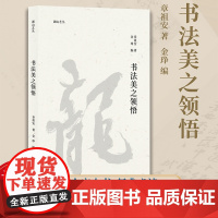 书法美之领悟 湖山艺丛 书法家章祖安谈论书法审美及相关理论问题专集图文并茂语言朴实可读性指导性俱佳领悟书法之美提升书法水