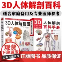 [2册]3D人体解剖图+3D人体解剖百科手册 全彩解剖学图谱人体生理学人体解剖图谱局部解剖学人体解剖学一本书读懂人体知识