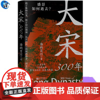 正版 大宋300年 写尽三百载大宋繁华与沉浮、浪漫与风霜 海纳百川著 新世界出版社