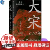 正版 大宋300年 写尽三百载大宋繁华与沉浮、浪漫与风霜 海纳百川著 新世界出版社