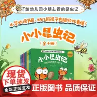 小小昆虫记(全十册)给幼儿园小朋友看的昆虫记 培养观察力与科学素养 趣味益智科普百科自然科学儿童成长漫画绘本 磨铁正版书