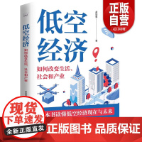 低空经济-如何改变生活、社会和产业 黄加翼 著 低空经济作为新质生产力新引擎的重要价值 低空产业的经济及社会效益 产业经