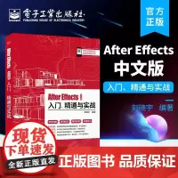 After Effects中文版入门 精通与实战 After Effects 软件在影视后期特效电视栏目包装企业和产品宣