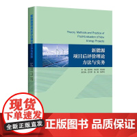 2025新书 新能源项目后评价理论方法与实务 张梦婉 李佳霖 张旭峰 新能源项目技术经济分析 项目经济性评价体系构建中国