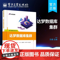 达梦数据库集群 文峰 电子工业出版社 正版书籍