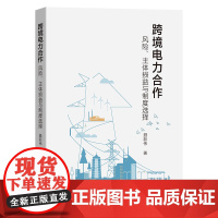 6月新书 跨境电力合作:风险、主体损益与制度选择 聂新伟 著 商务印书馆