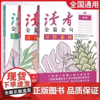 新版 读者金篇金句初中美文鉴赏习作素材习作指导二十一世纪出版社七八九年级优秀高分作文技法技巧优秀作文素材