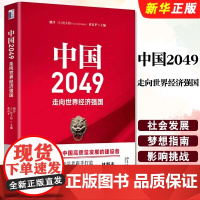 正版中国2049 走向世界经济强国 北京大学出版社 姚洋等主编 剖析我国未来30年经济发展的主要挑战 把握趋势做好应对书