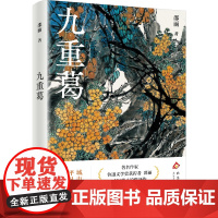 九重葛(鲁迅文学奖获得者邵丽中短篇小说集新作 安静地越过生命中偶然的潜流,枝叶重新舒展,生活温情地流动)