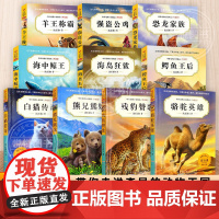 沈石溪动物小说 残豹赞歌 骆驼英雄 鳄鱼王后 恐龙家族 熊兄熊妹 海中鲸王9-12-15岁三四五六年级儿童文学 儿童小学