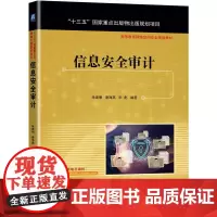 机工 信息安全审计 朱建明 康海燕 宋彪 编著