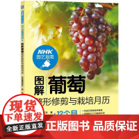 机工 图解葡萄整形修剪与栽培月历 [日]望冈亮介 著 赵长民 译