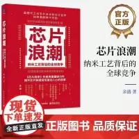 芯片浪潮 纳米工艺背后的全球竞争 余盛 著 计算机硬件组装、维护专业科技 正版图书籍 电子工业出版社