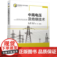 机工 中高电压及绝缘技术 主编 高嵬副主编 熊义勇 周屹 吴沛航