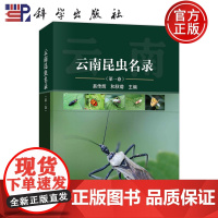 ]云南昆虫名录(第一卷)易传辉 和秋菊 科学出版社 9787030785664 自然科学