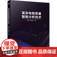 机工 复杂电能质量智能分析技术 林琳 黄南天