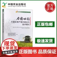 预售 全国水稻大面积单产提升路径与技术模式 主要粮食作物大面积单产提升系列丛书 水稻的生产现状水稻单产水平 农业
