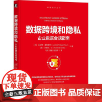机工 数据跨境和隐私:企业数据合规指南 [荷]兰伯特·霍根豪特(Lambert Hogenhout)[美] 阿曼达·王(