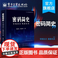 店 密码简史——穿越远古 展望未来 杨义先 趣谈科学丛书 古典近代机械二战密码加密破译传递获取情报 通信与网络书籍