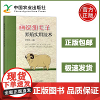 画说细毛羊养殖实用技术 付雪峰 细羊毛的用途与价值 细毛羊品种鉴定 细毛羊羊毛品质鉴定 细毛羊放牧管理 细毛羊舍饲管理