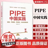 正版PIPE中国实践 定增 可转债 可交债 大宗交易投资 苏文权 电子工业出版社 上市公司私募股权投资行业的运营流程 教