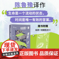 年龄是一种感觉 陈鲁豫译作 25岁才算真正长大成人 12个小故事,讲述漫长而美丽的女性生命独角戏 正版
