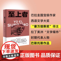 至上者(奥古斯托.罗亚.巴斯托斯作品)