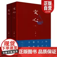 [正版] 文心(上下)全2册雪漠文学的书雪漠心学作品人生哲学读物文学的精神和文化般若佛法修正国学经典当代散文随笔