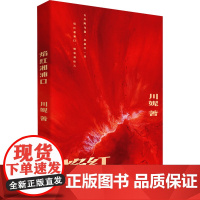 焰红湘浦口 川妮 著 中国现当代文学 文学 中国工人出版社