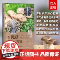 杏鲍菇工厂化栽培 郑雪平 刘遐 郑烜如 食用菌工厂化栽培是具现代农业特征的先进生产方式国内外杏鲍菇工厂化生产的栽培模式