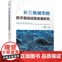 机工 长三角城市群数字基础设施发展研究 刘艳