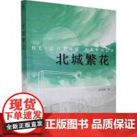 北城繁花 俞运康 著 中国现当代文学 文学 百花文艺出版社