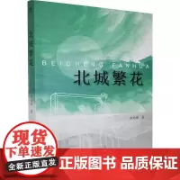 北城繁花 俞运康 著 中国现当代文学 文学 百花文艺出版社