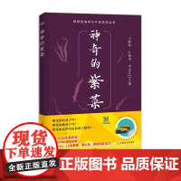 神奇的紫菜(神奇的海洋水产品系列丛书)