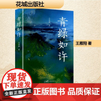 青绿如许 王雁翔 著 中国现当代文学 文学 花城出版社