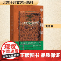 生活启蒙 刘汀 著 中国现当代文学 文学 北京十月文艺出版社