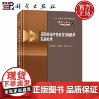 正版]采动巷道冲击地压力构协同防控技术 赵善坤, 齐庆新, 邓志刚著 科学出版社 9787030803108